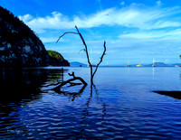 Watmough Bay, Blue