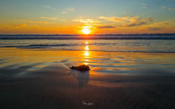 Sunset Del Mar CA