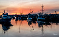 Last Look, Everett Marina