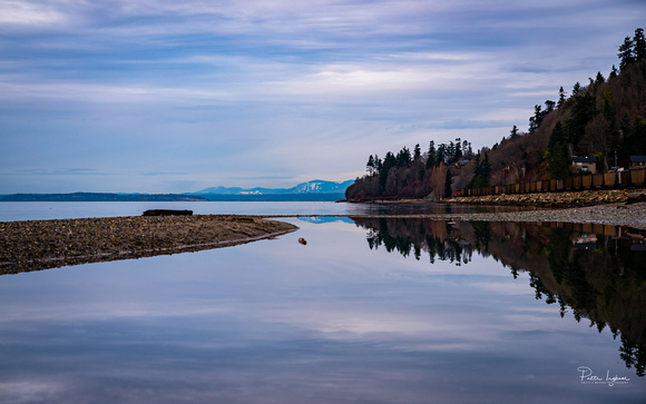 Reflections at Picnic Point