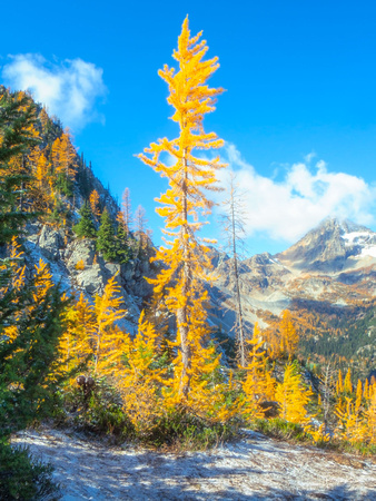 North Cascades