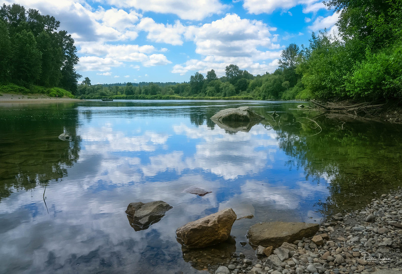 Snohomish River Reflections