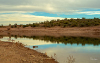 Wild Burro Trail, AZ